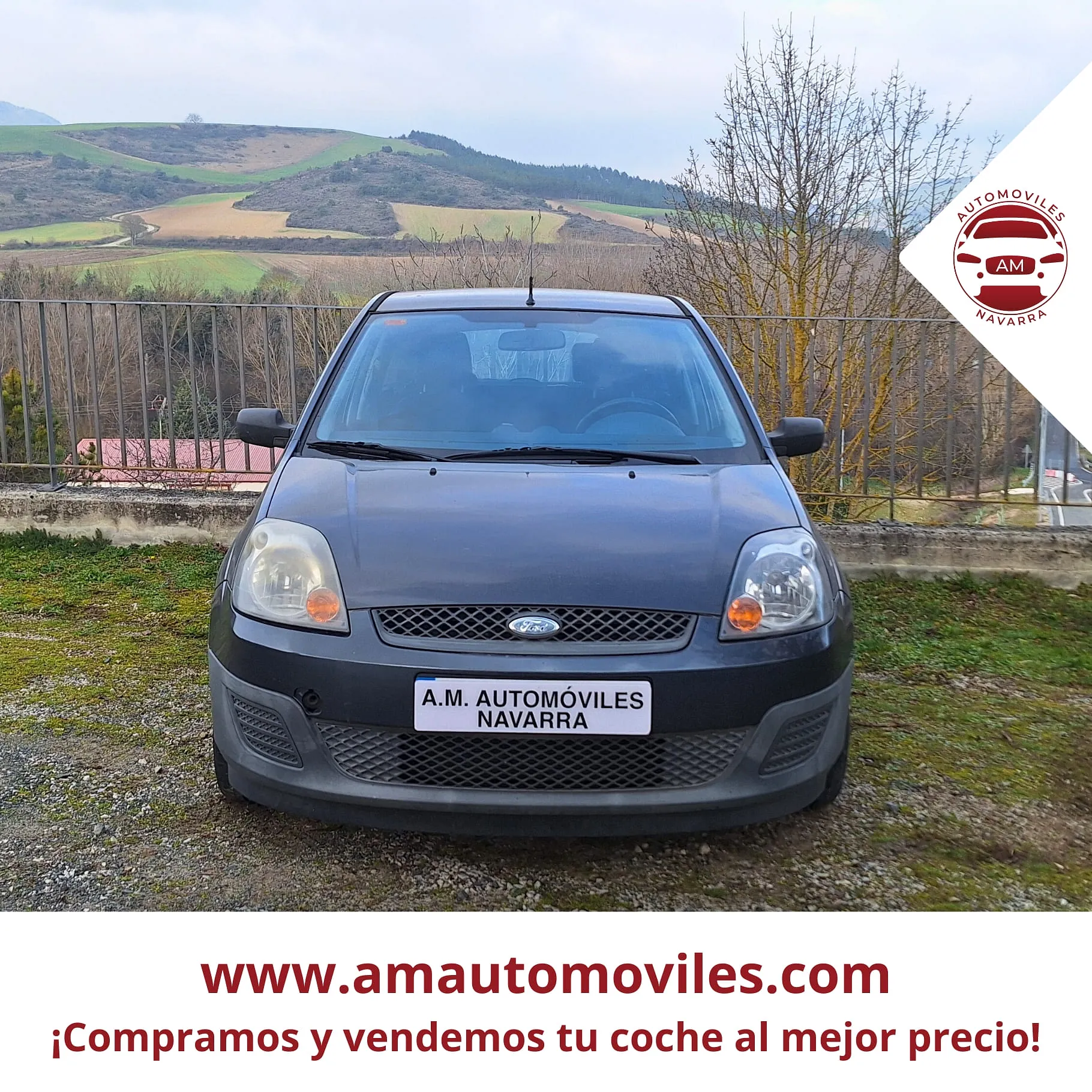 Ford Fiesta 1.3I 